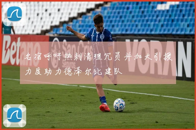 名宿呼吁热刺清理冗员并加大引援力度助力德泽尔比建队