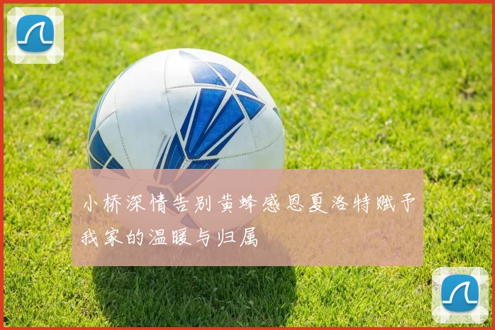 小桥深情告别黄蜂感恩夏洛特赋予我家的温暖与归属