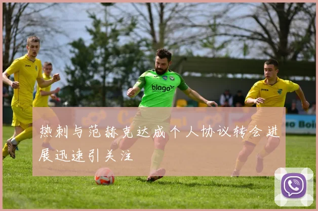 热刺与范赫克达成个人协议转会进展迅速引关注